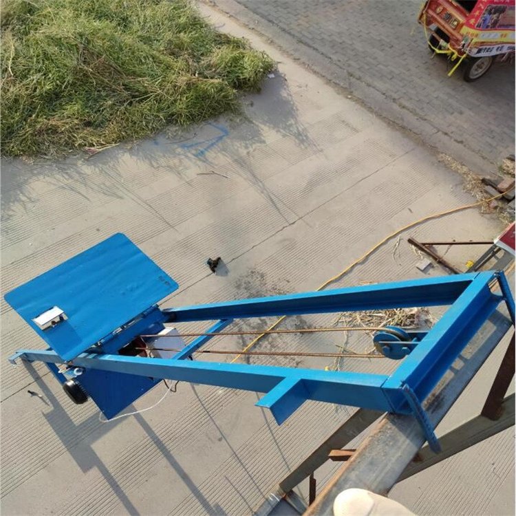 01254.jpg